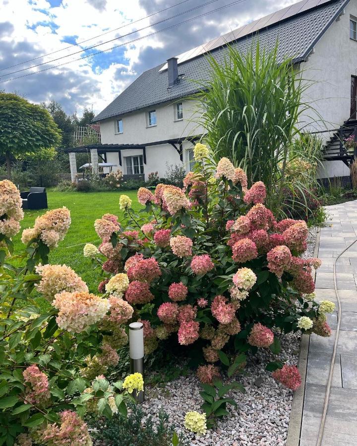 Sarnia Polana Villa Kostrzyca Exteriör bild