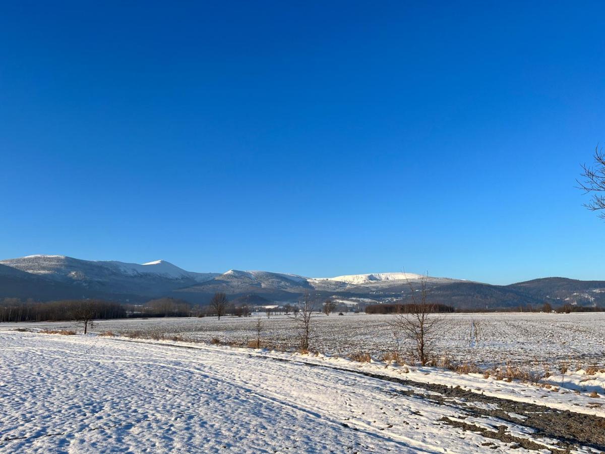 Sarnia Polana Villa Kostrzyca Exteriör bild