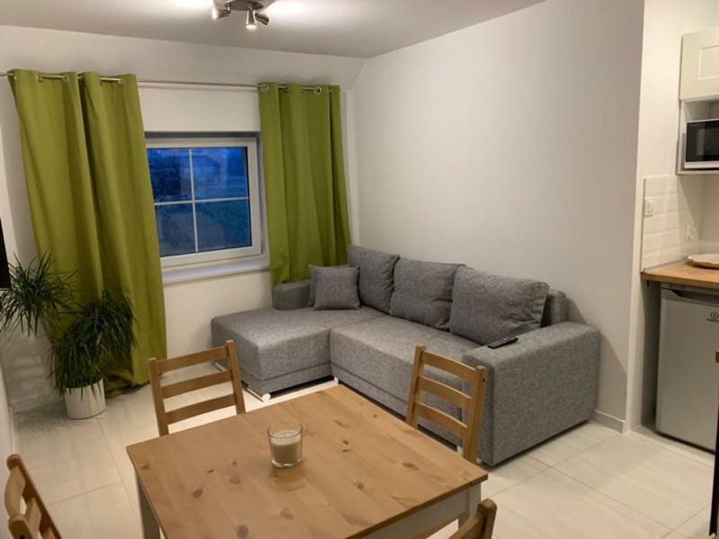 Sarnia Polana Villa Kostrzyca Exteriör bild